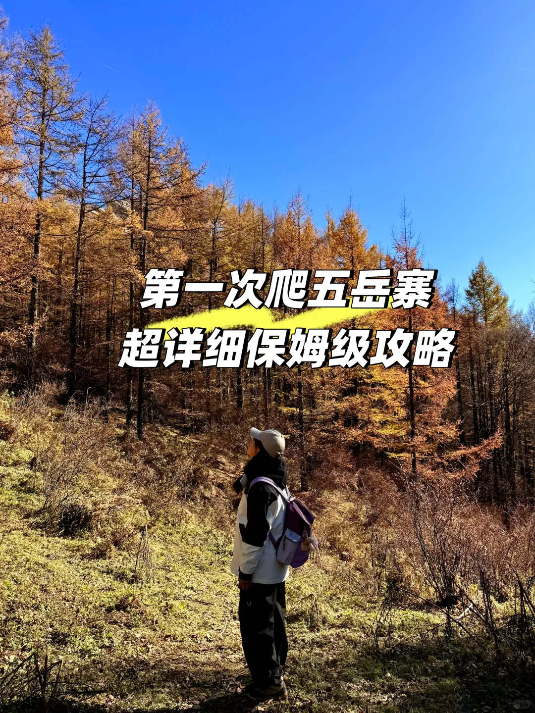 新手第一次爬五岳寨超全攻略|一定要保存好！