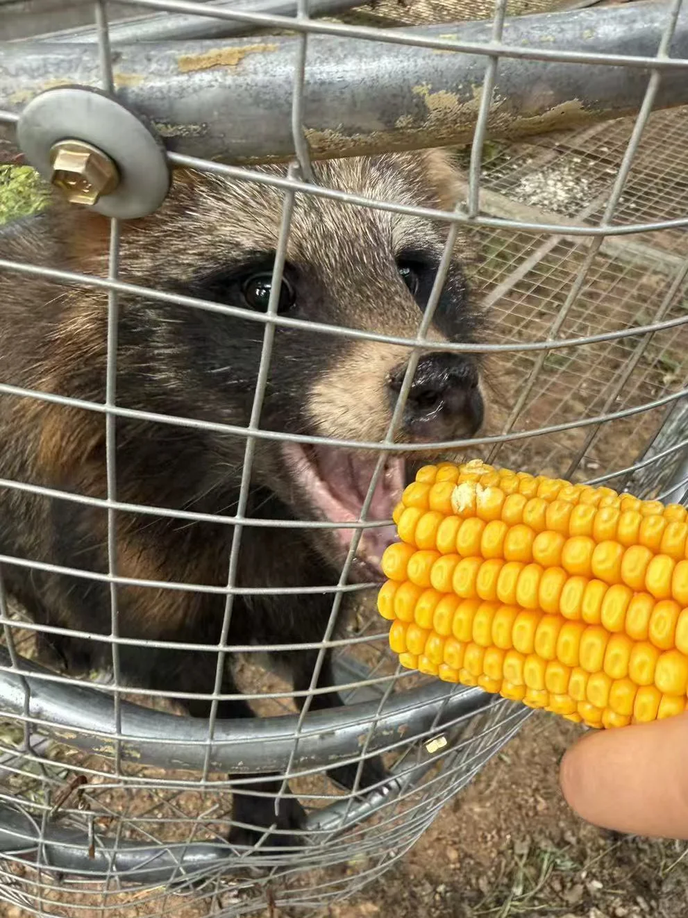 快来红崖谷和我们玩～