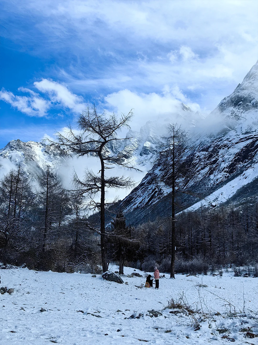 成都出发 | 毕棚沟一日游167💰含门票