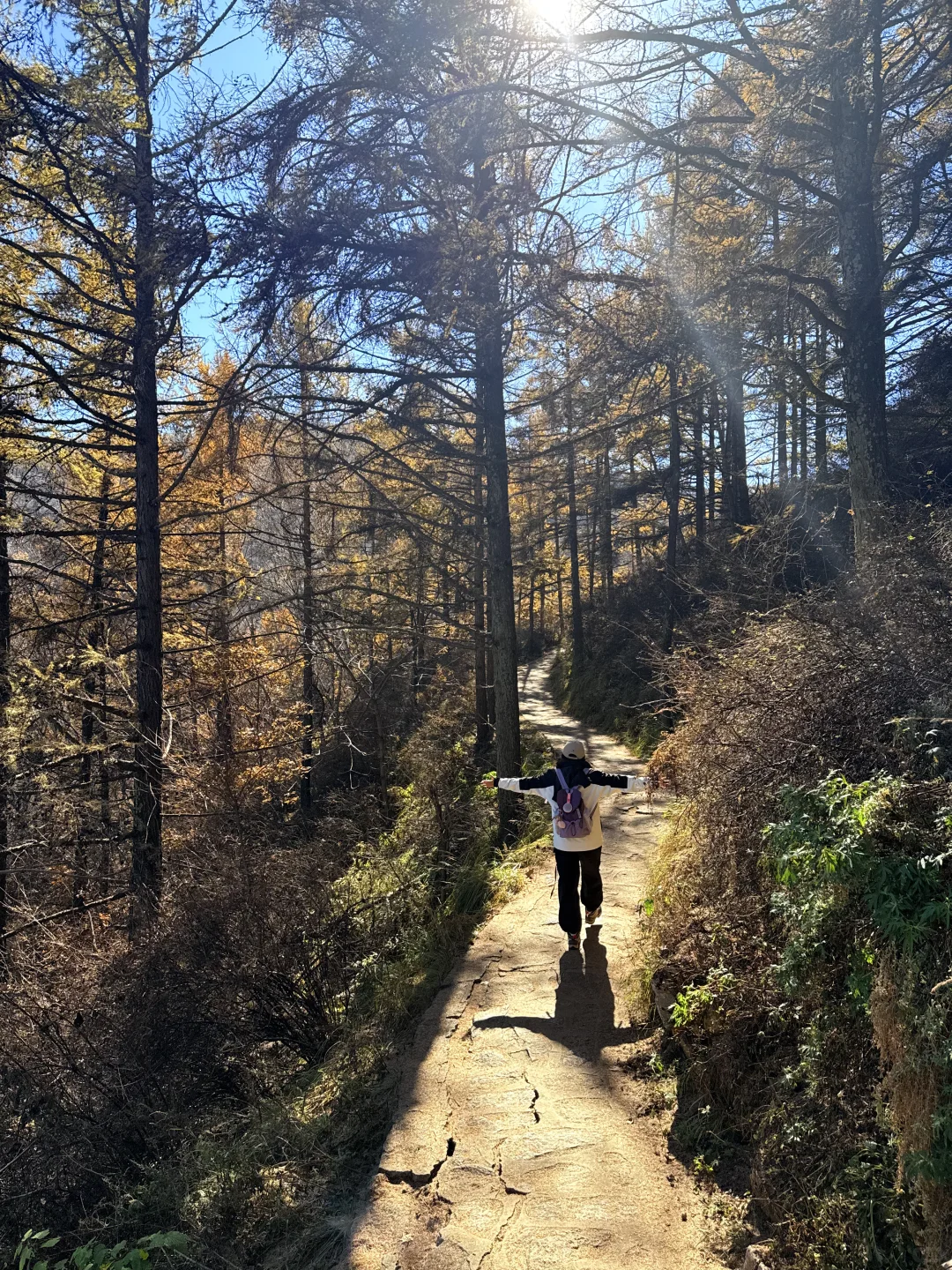 新手第一次爬五岳寨超全攻略|一定要保存好！