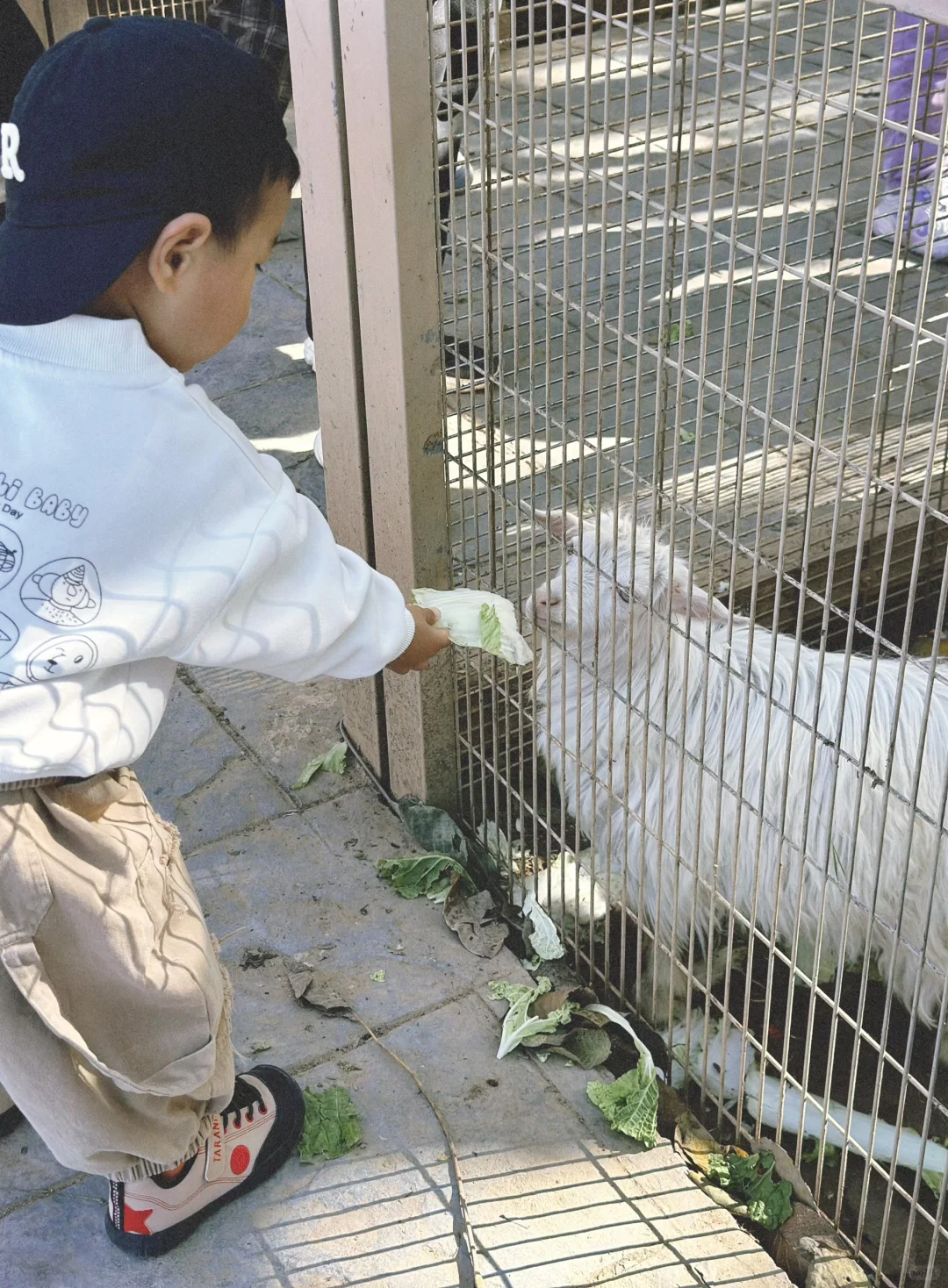 石家庄0元玩全天|附带娃动线