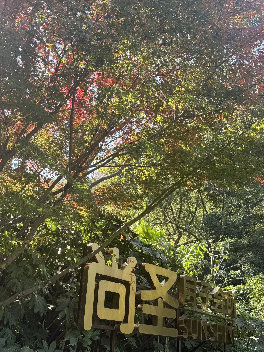 住进景区里的森系疗愈空间，二胎家庭