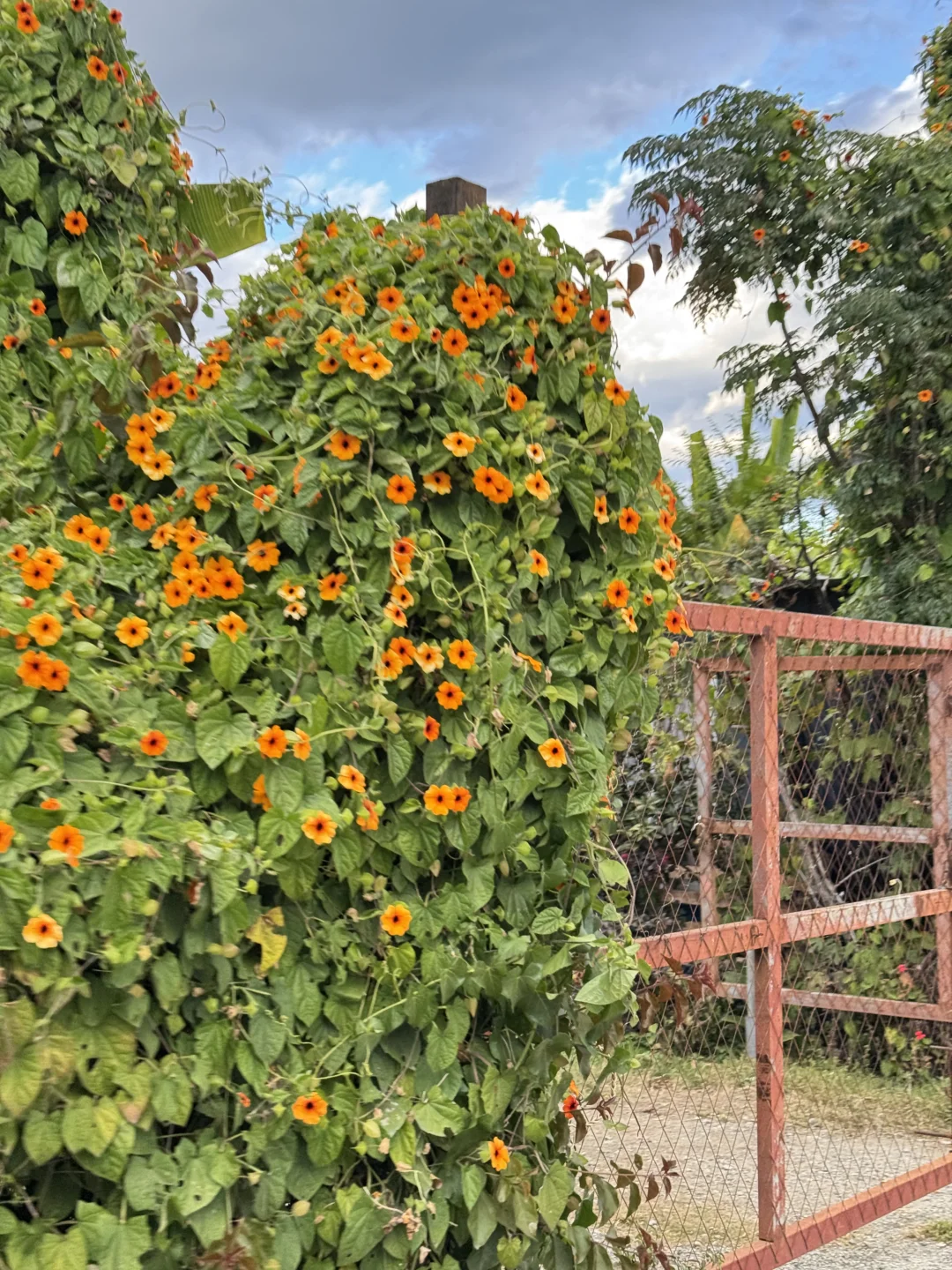 大理——苍山洱海🏔️