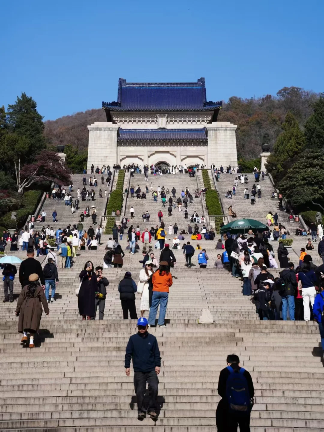 南京会惩罚每一个不做攻略就来的游客😭