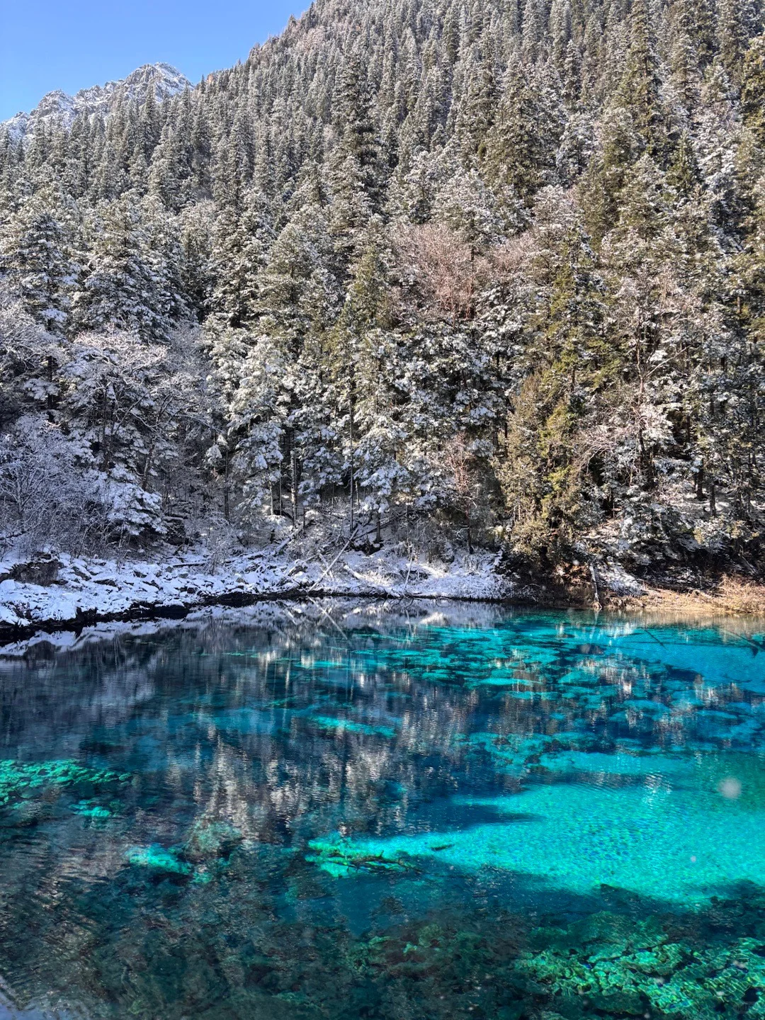 11.17📍九寨沟❗雪景+半价门票真心推荐