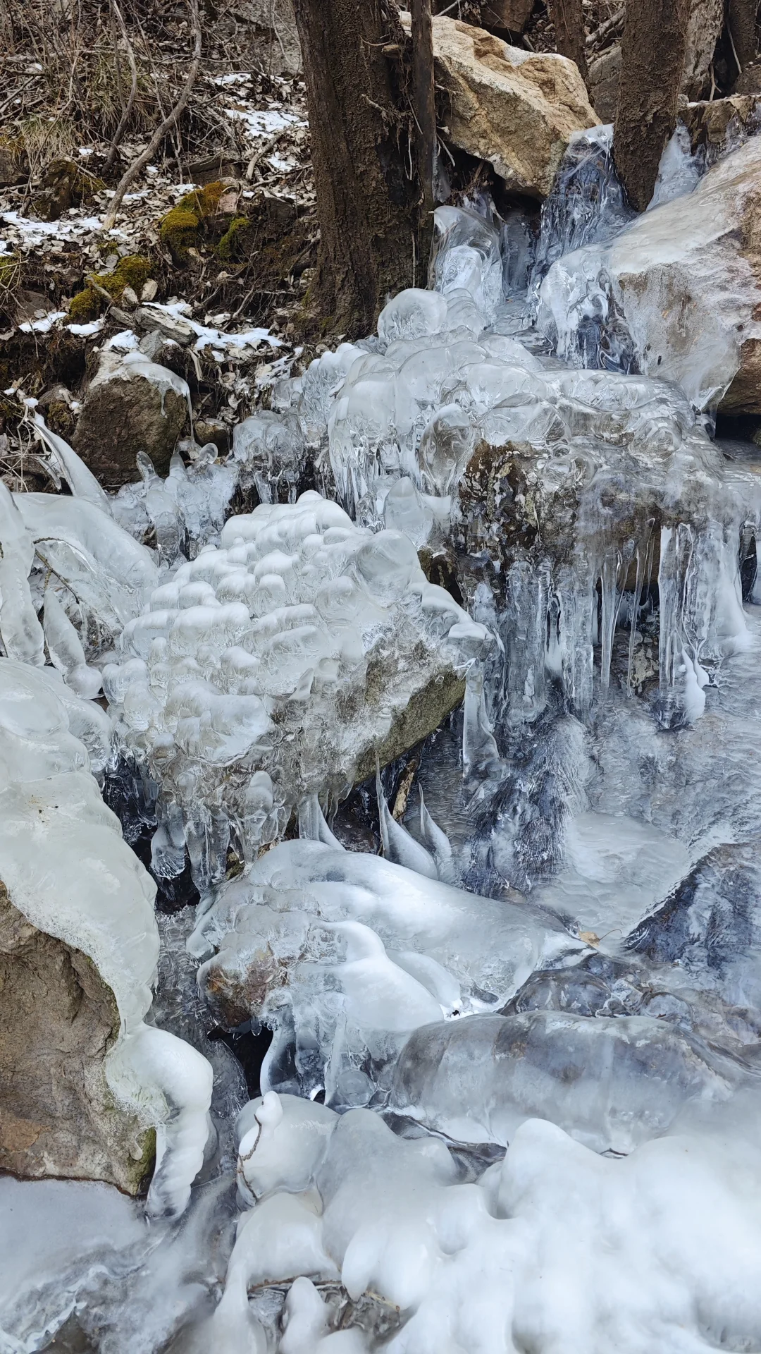 11月23日国际庄周边冬天好去处往这看😏