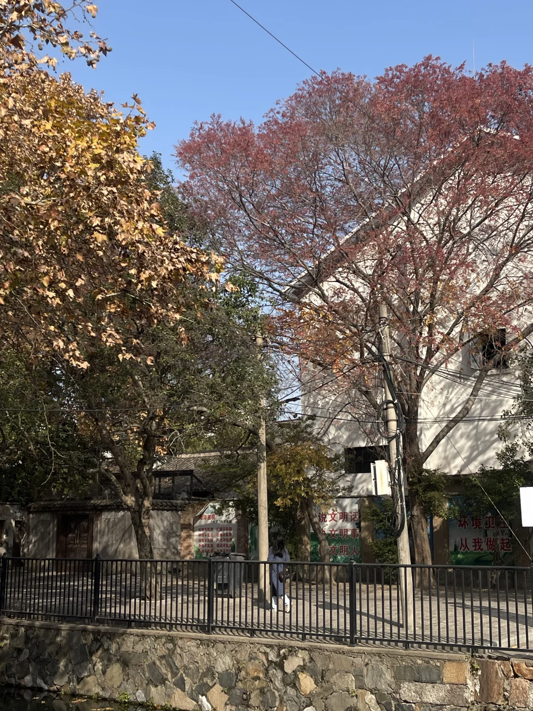 古镇偶遇金像奖得主 ｜ 你小子不适合做地板