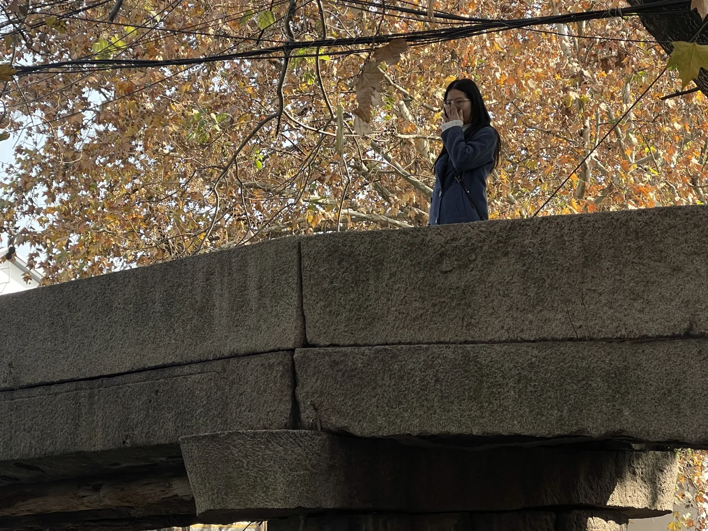 古镇偶遇金像奖得主 ｜ 你小子不适合做地板