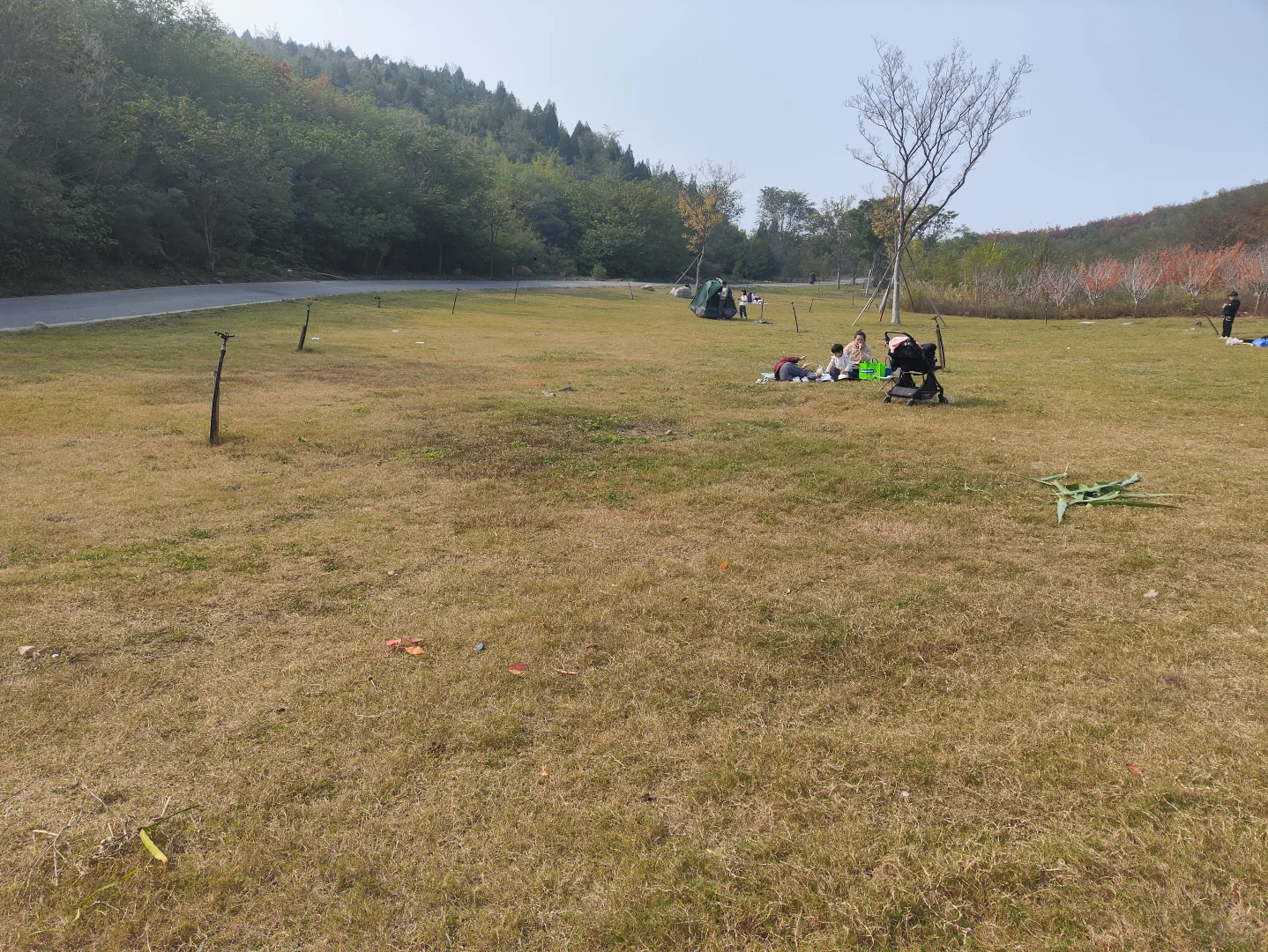 复兴区紫山公园一日游