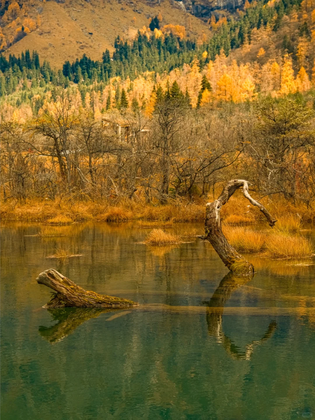 被《国家地理》评为中国最美的秋天有多绝！