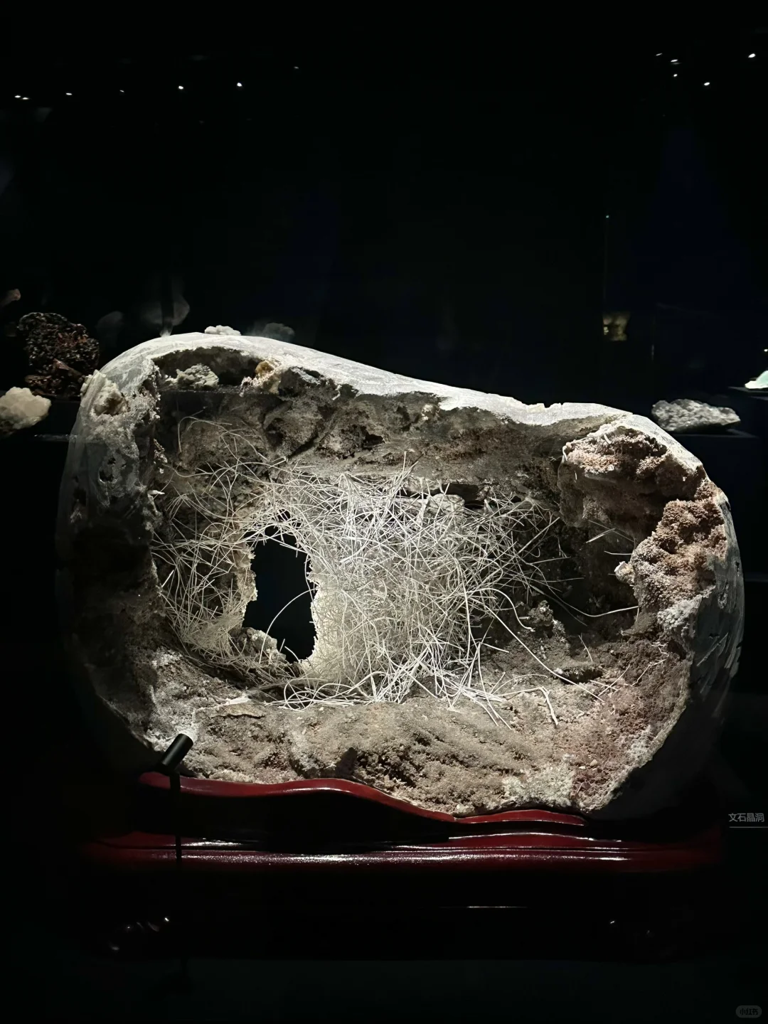 济南人欠全国一个解释。。。。。。。。。。