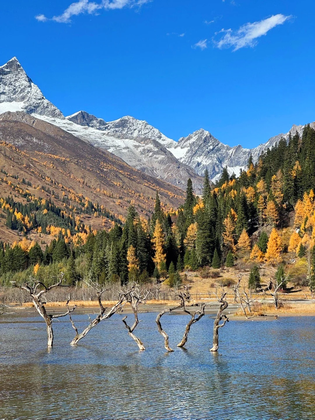 11.10📍四姑娘山已回，真心提醒要去的姐妹们
