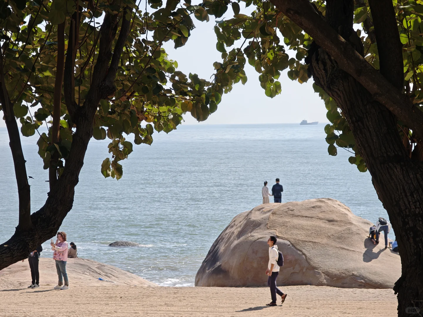 请大数据推给12月要来厦门的朋友