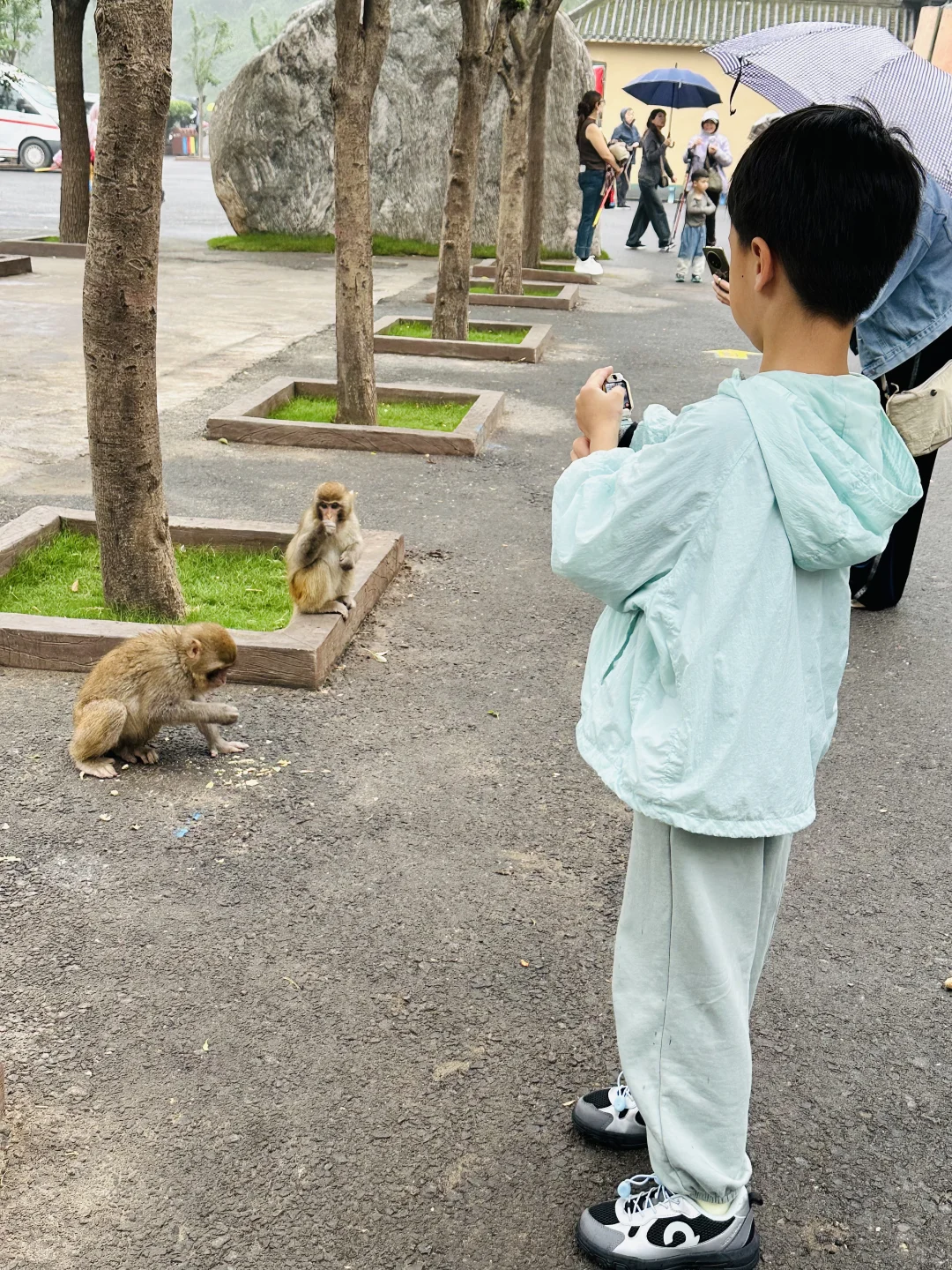 看猴去这个冷门景区就够啦！不用去峨眉山啦