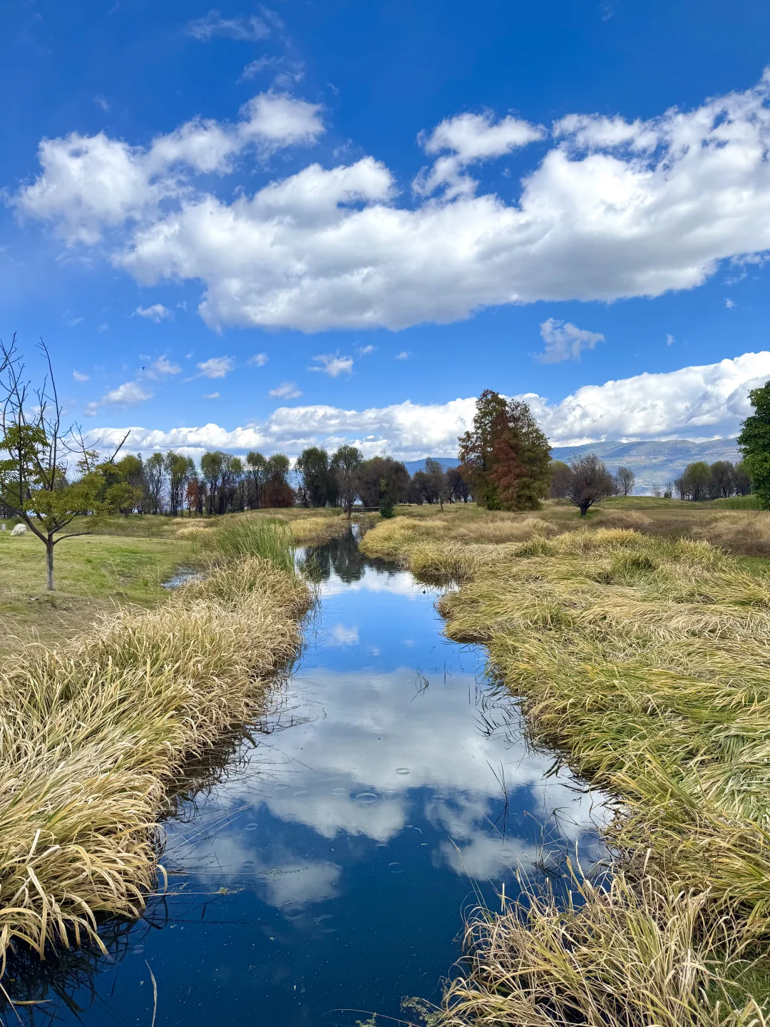 大理——苍山洱海🏔️