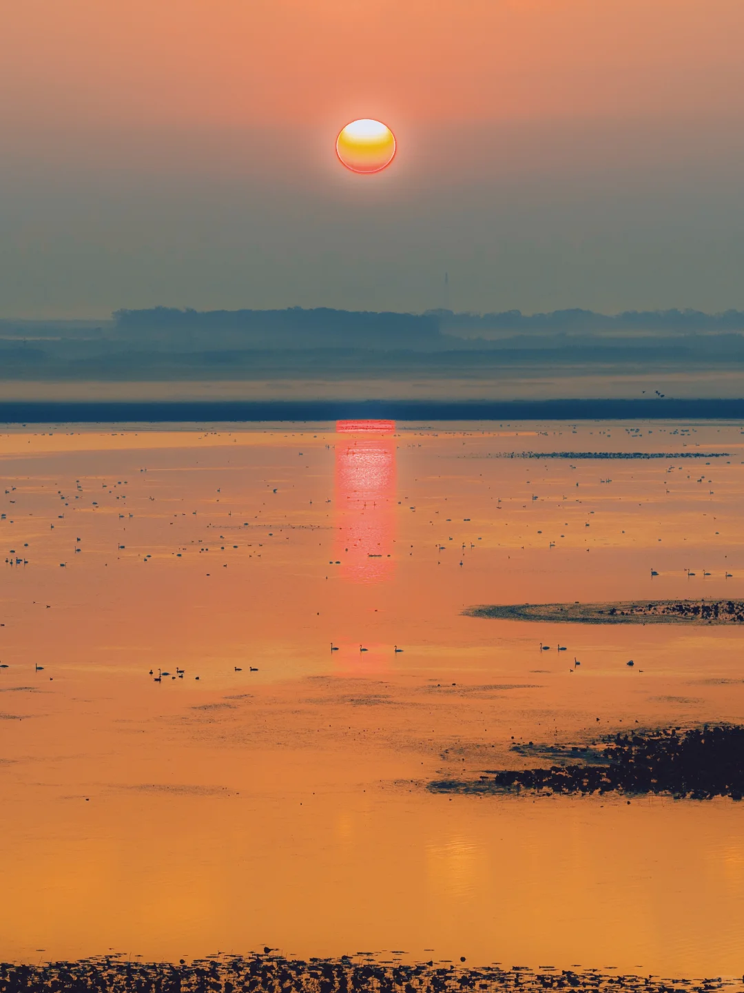 武汉出发2小时，我今年最偏爱的小镇出现了