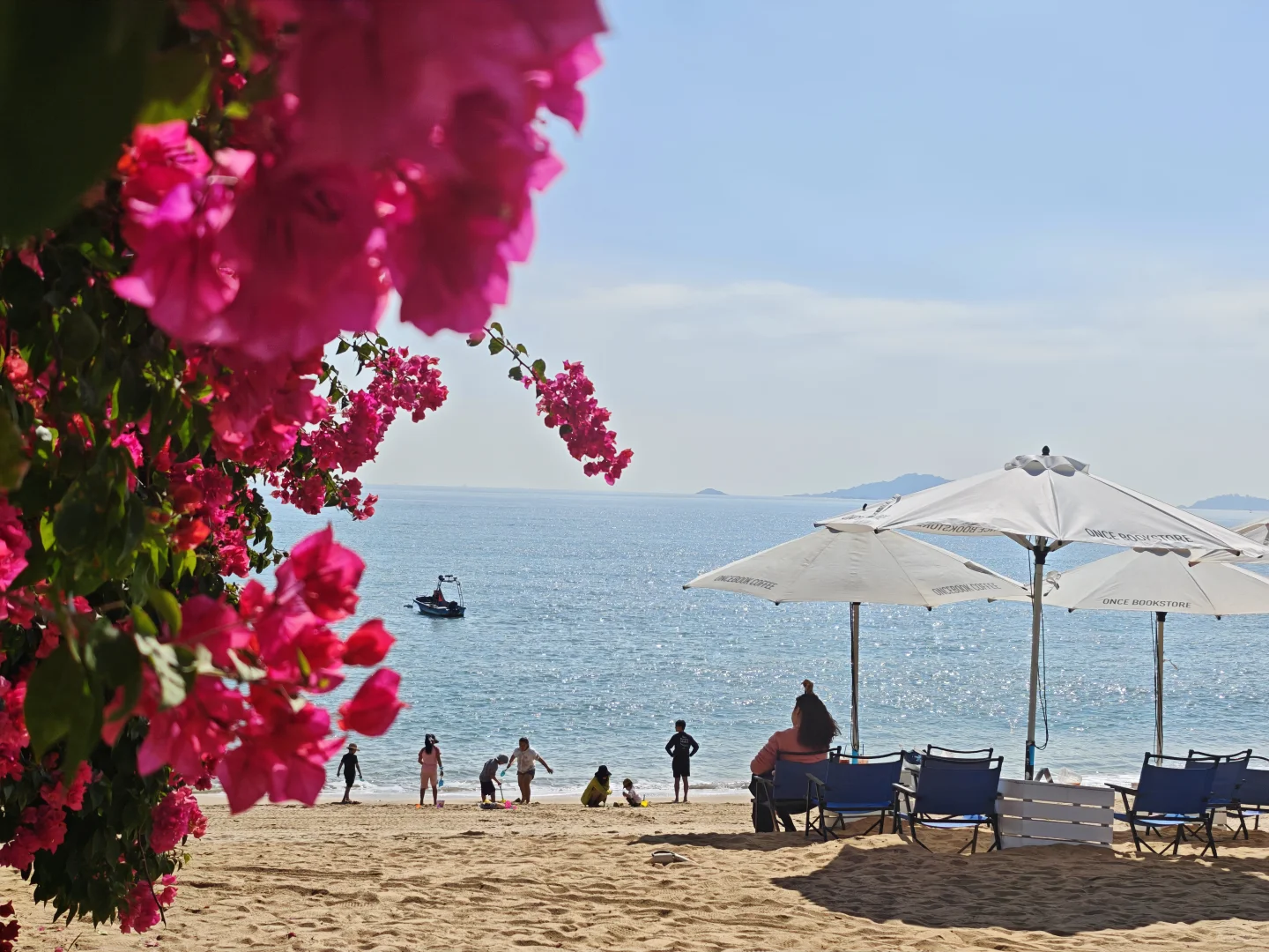 请大数据推给12月要来厦门的朋友