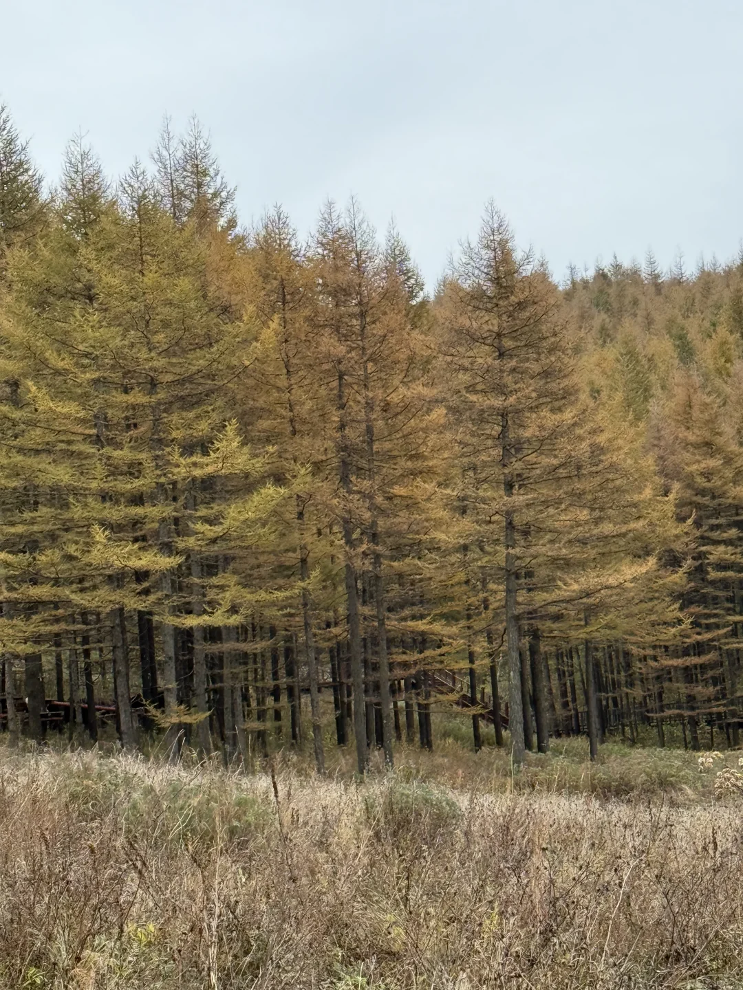 十月七日-特种兵奔向驼梁一日游