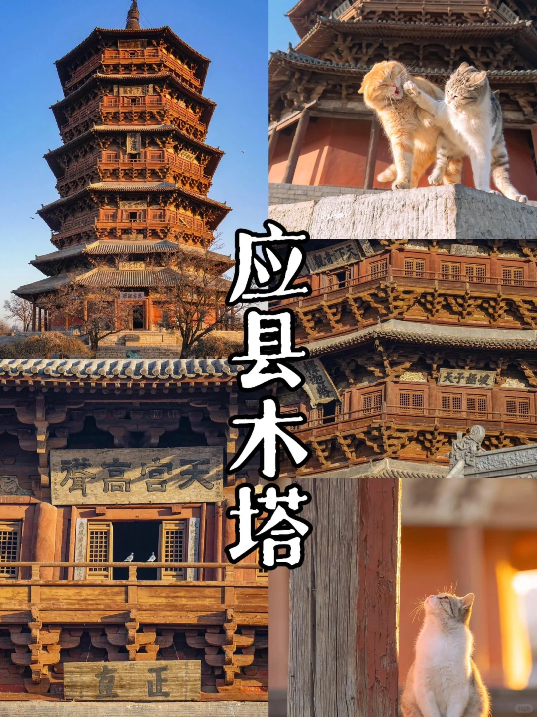 北京团建｜被领导夸了一个月山西团建攻略！