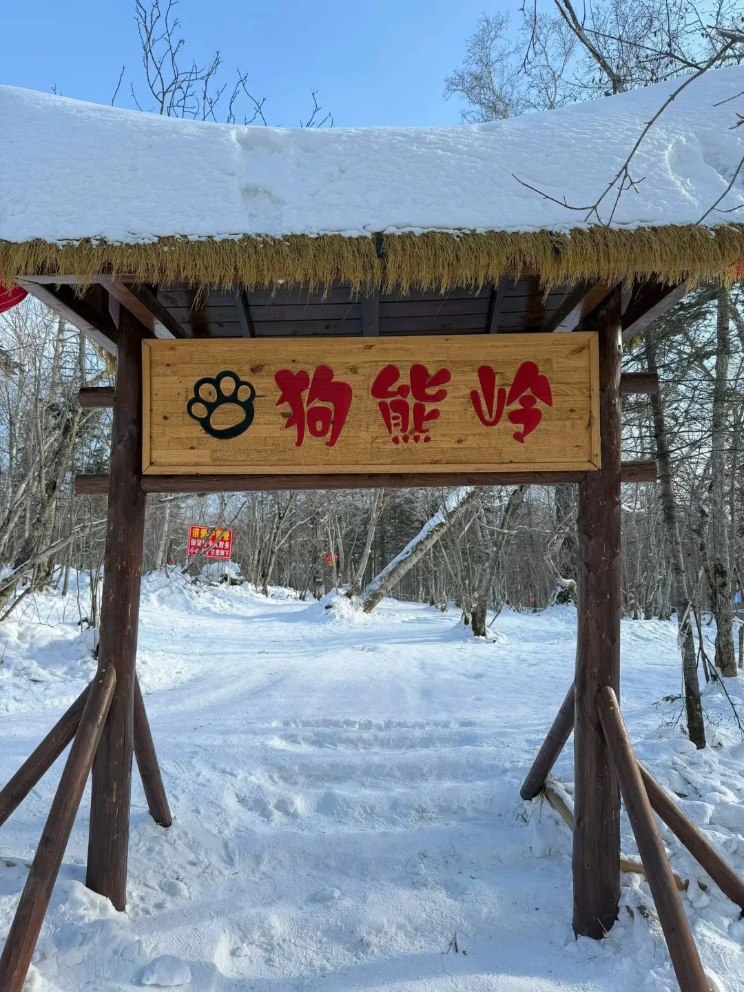 亚布力雪乡一日游｜包车保姆级攻略简洁版