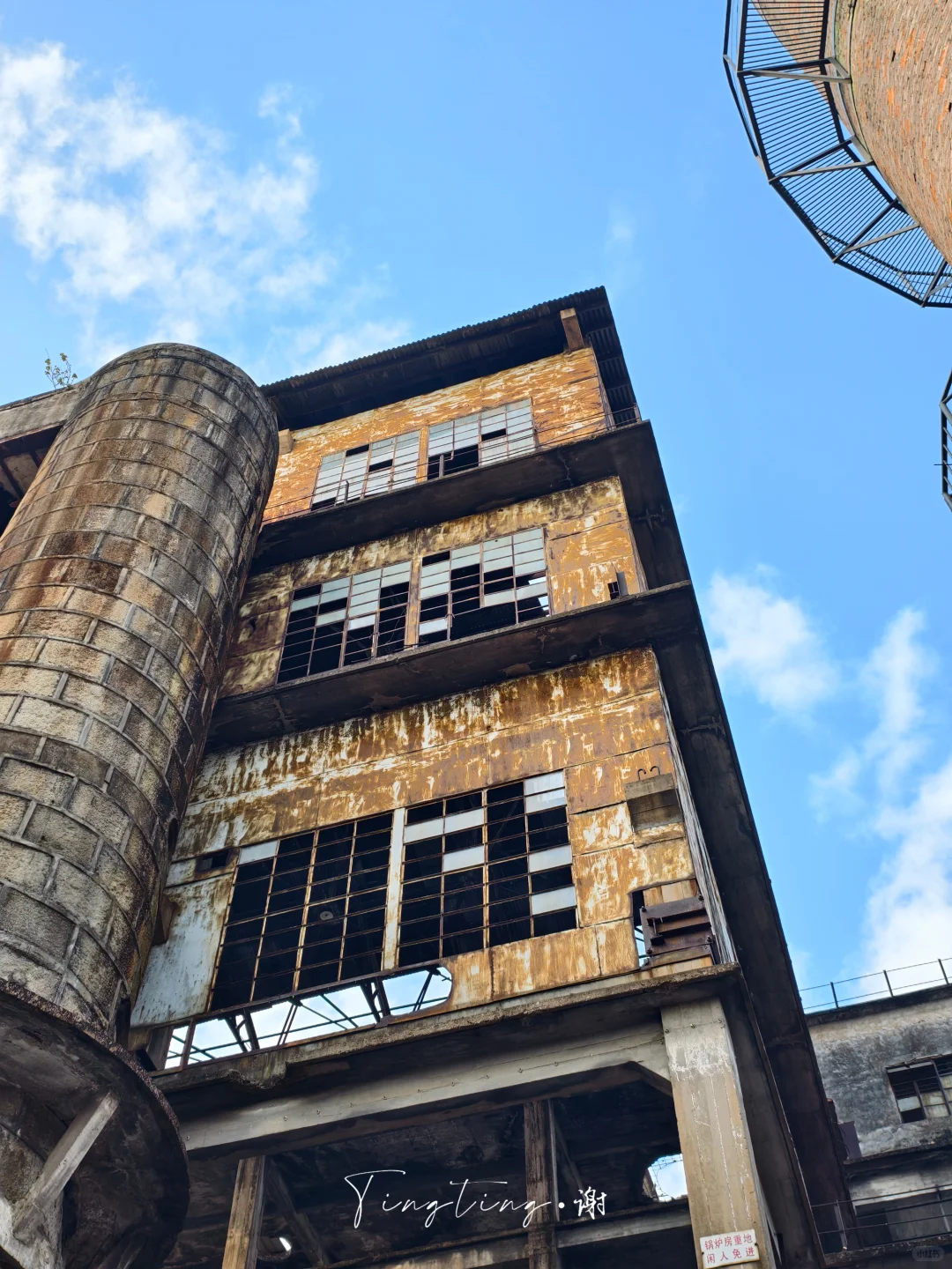 🌺花都开好了。