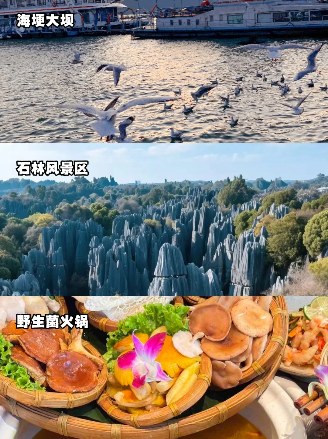 【云南6天5夜私家定制】✨懒人必备攻略！