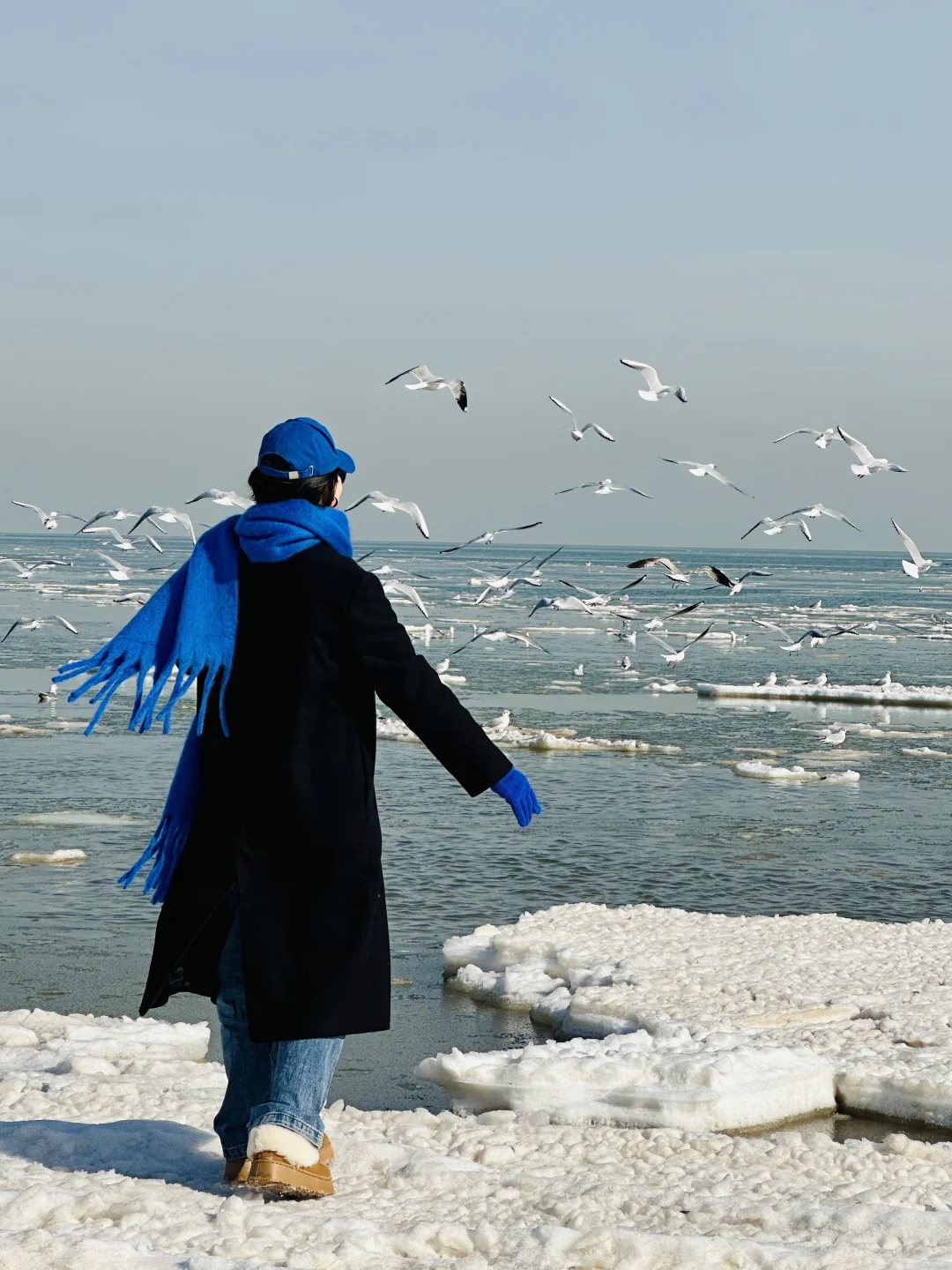 我为了这18张live图特意去了趟秦皇岛🌊