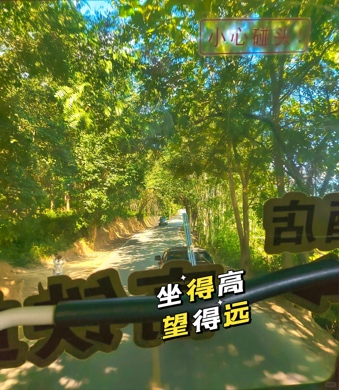 坐高铁去望天树景区