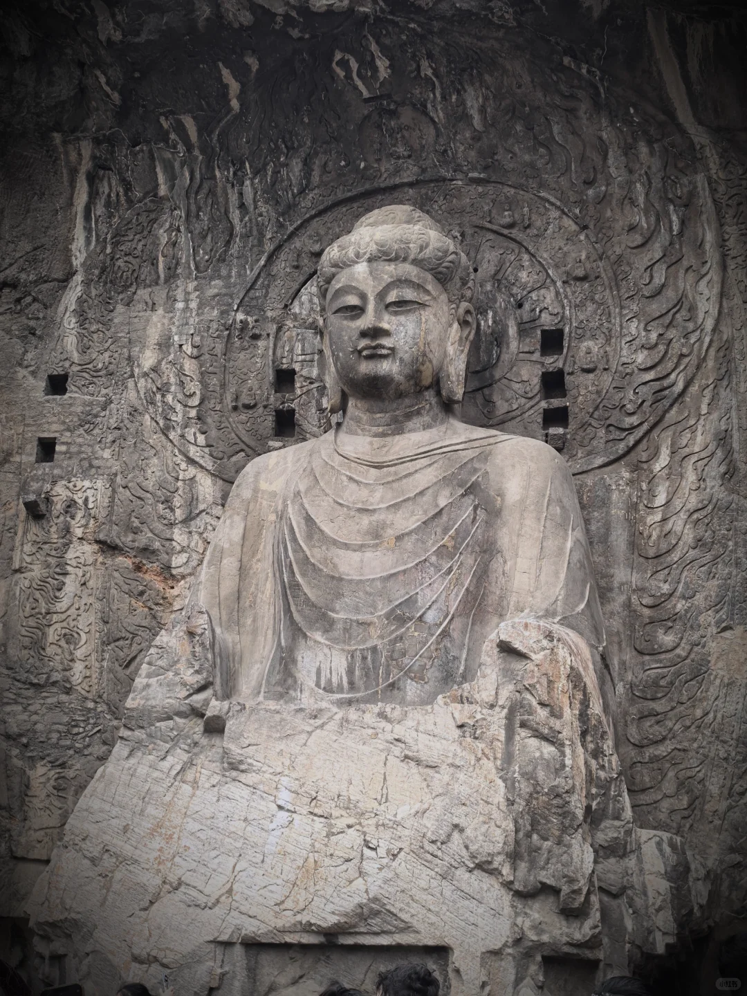📍洛阳龙门石窟 | 千年佛国的有趣之旅✨