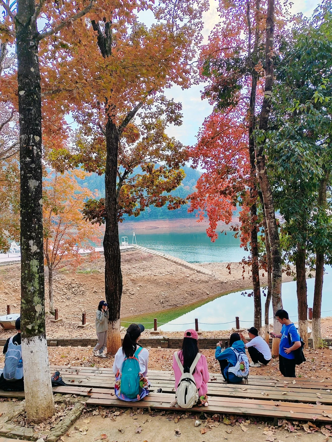 【宜春天柱峰｜被严重低估的小众仙境，江西