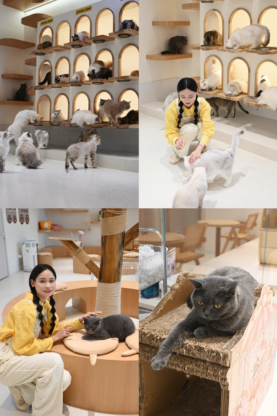 深圳潮玩天花板！15000㎡地心公园嗨玩攻略