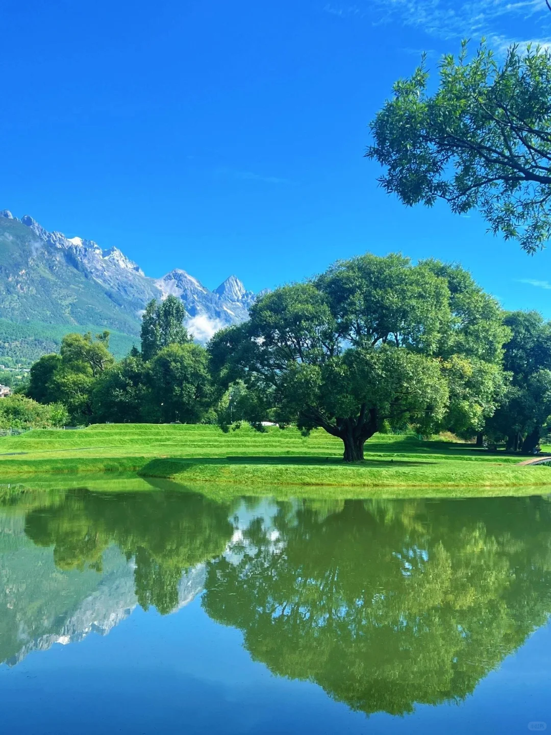 11~12月云南旅游bi备✨纯玩小团指南👭快