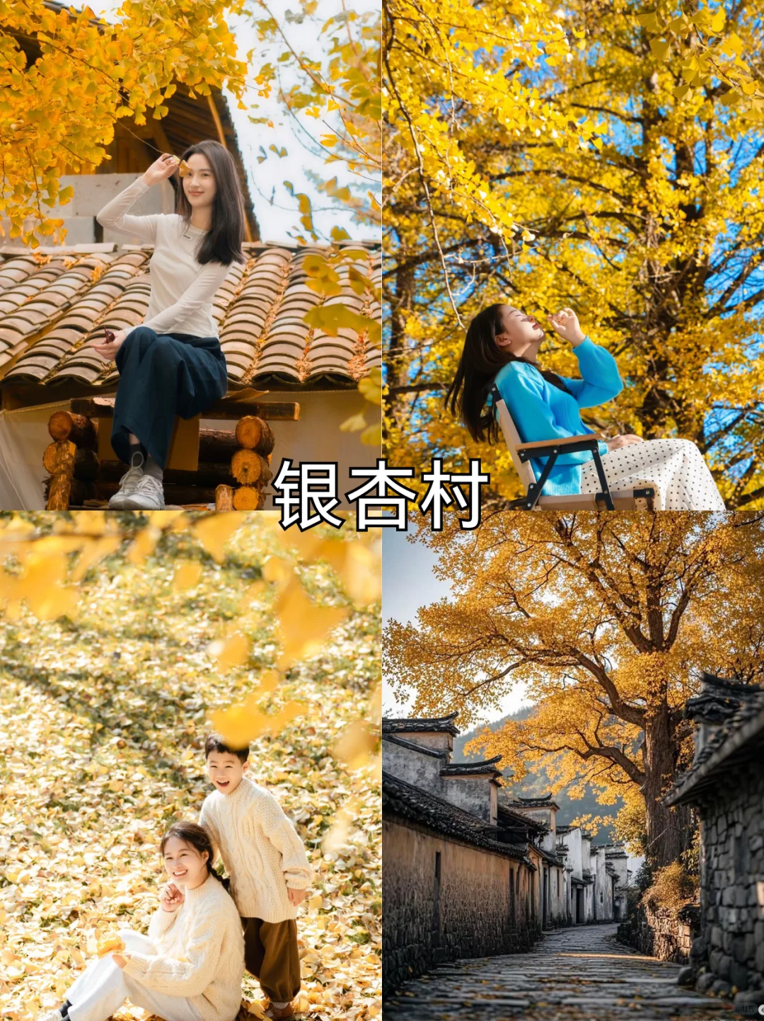 滇西避寒天花板❗️私藏东南亚风情🌴