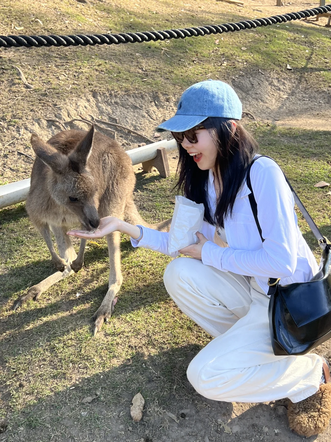 老娘会这样一直玩玩玩玩到八十岁！