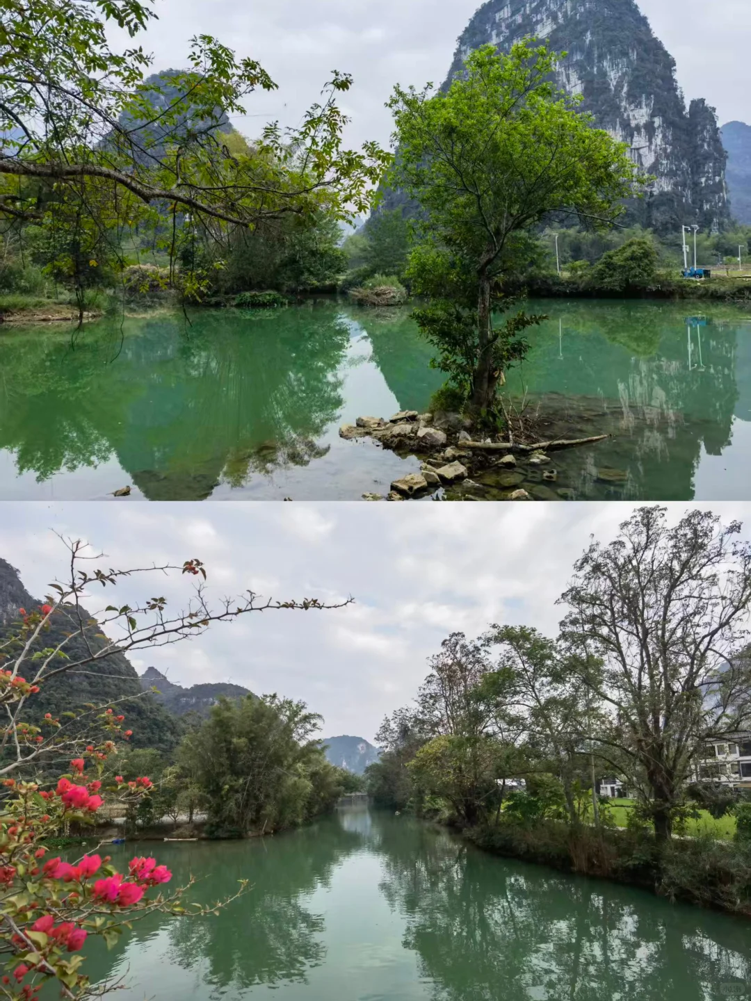 明仕田园景区12月6日现状