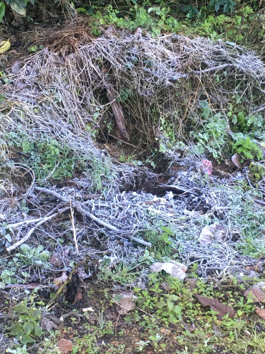 回村的快乐！！！