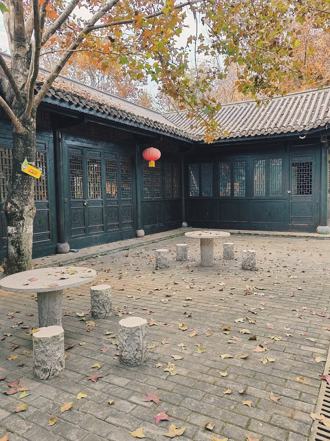 【宜春天柱峰｜被严重低估的小众仙境，江西