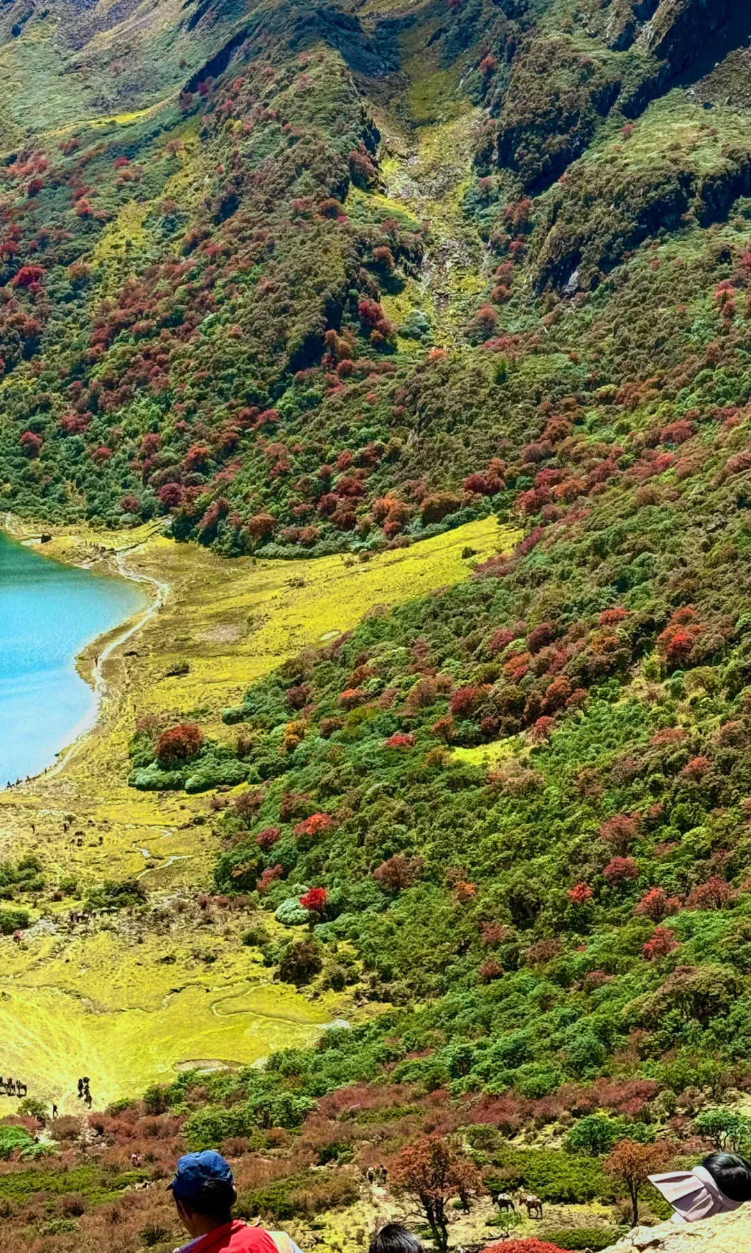 天🦆！！！这是到了天堂吗！！！📍附攻略