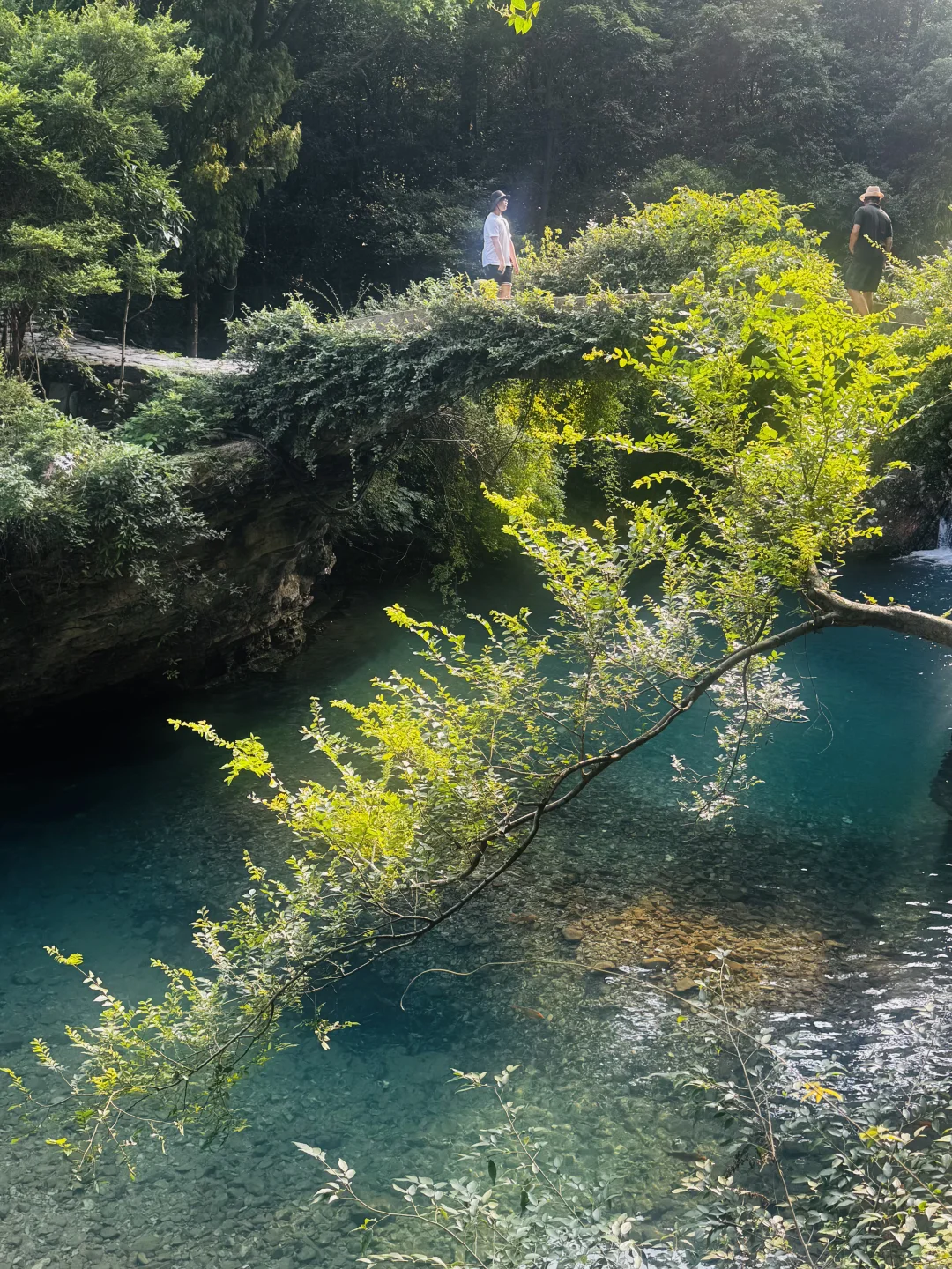 雁荡山摆烂攻略🔥3h躺玩不爬山！