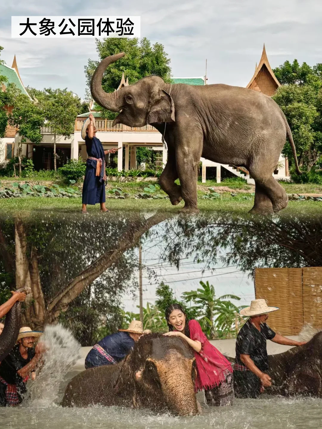 泰国曼谷怎么玩？路线攻略一篇笔记搞定