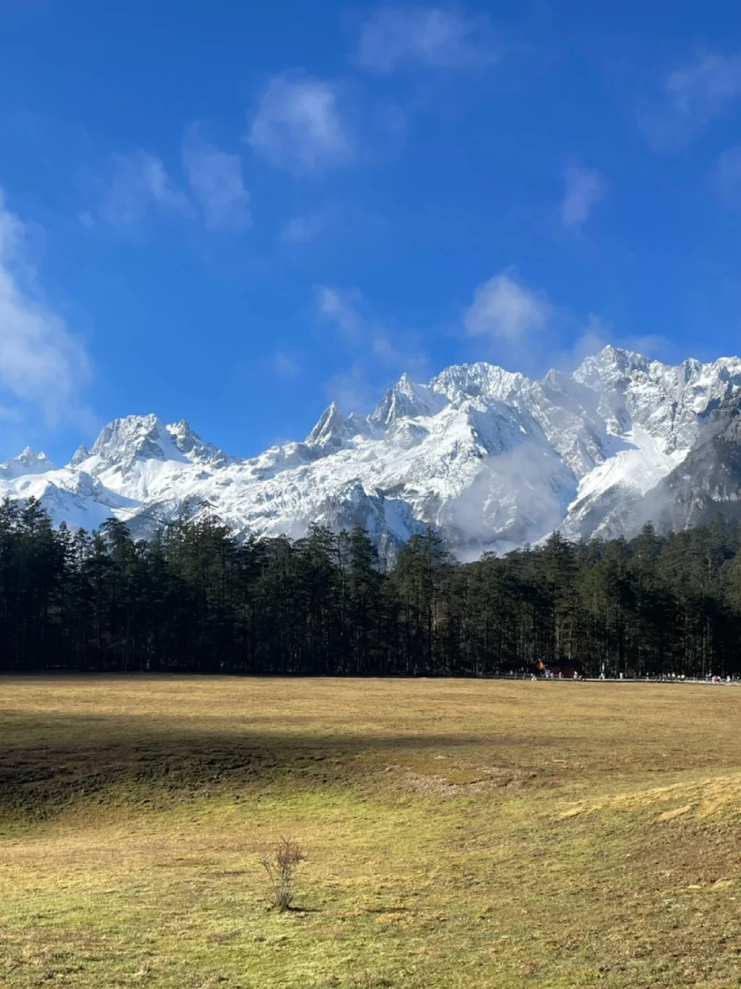 11.21玉龙雪山现状，美疯了🤩要来的不劝