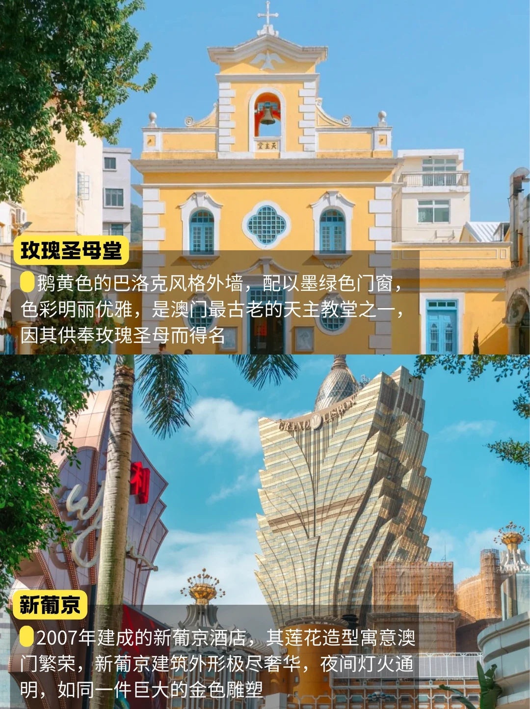 港珠澳地标景点📍第一次去港澳必看！