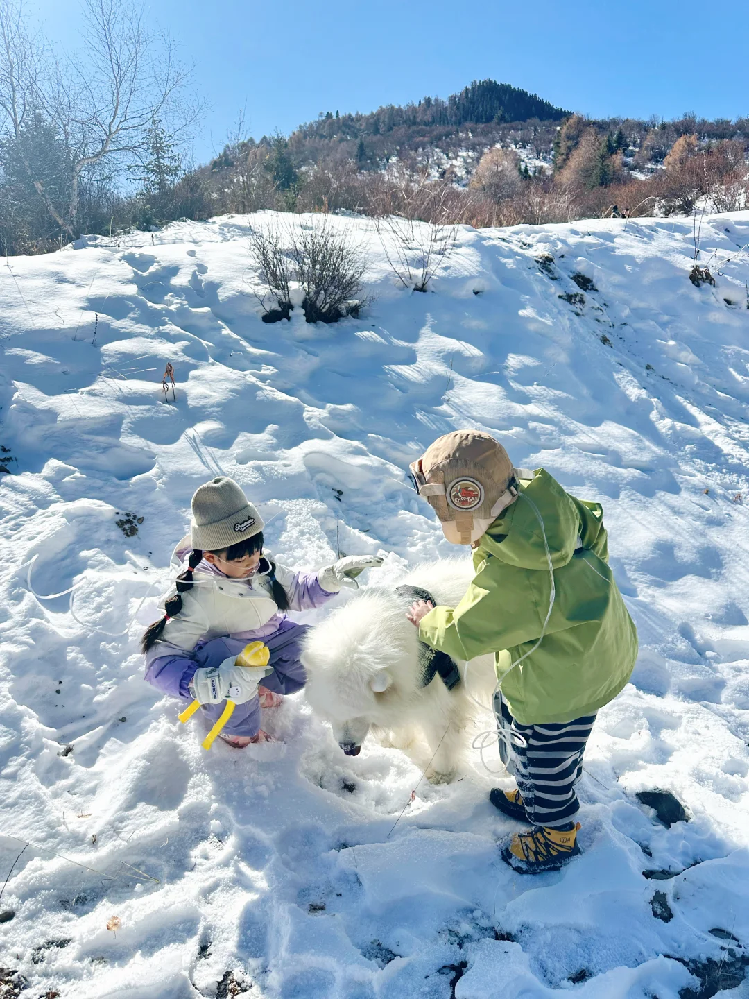 不挤尔滨！成都周边3h直达童话“小雪乡”☃️