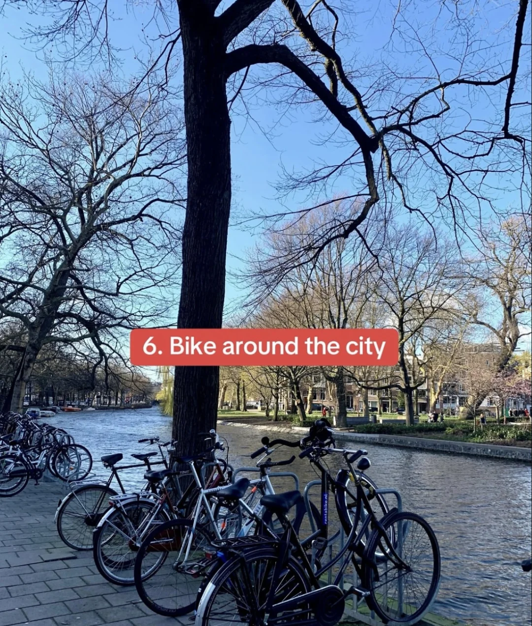 阿姆斯特丹十大必玩景点