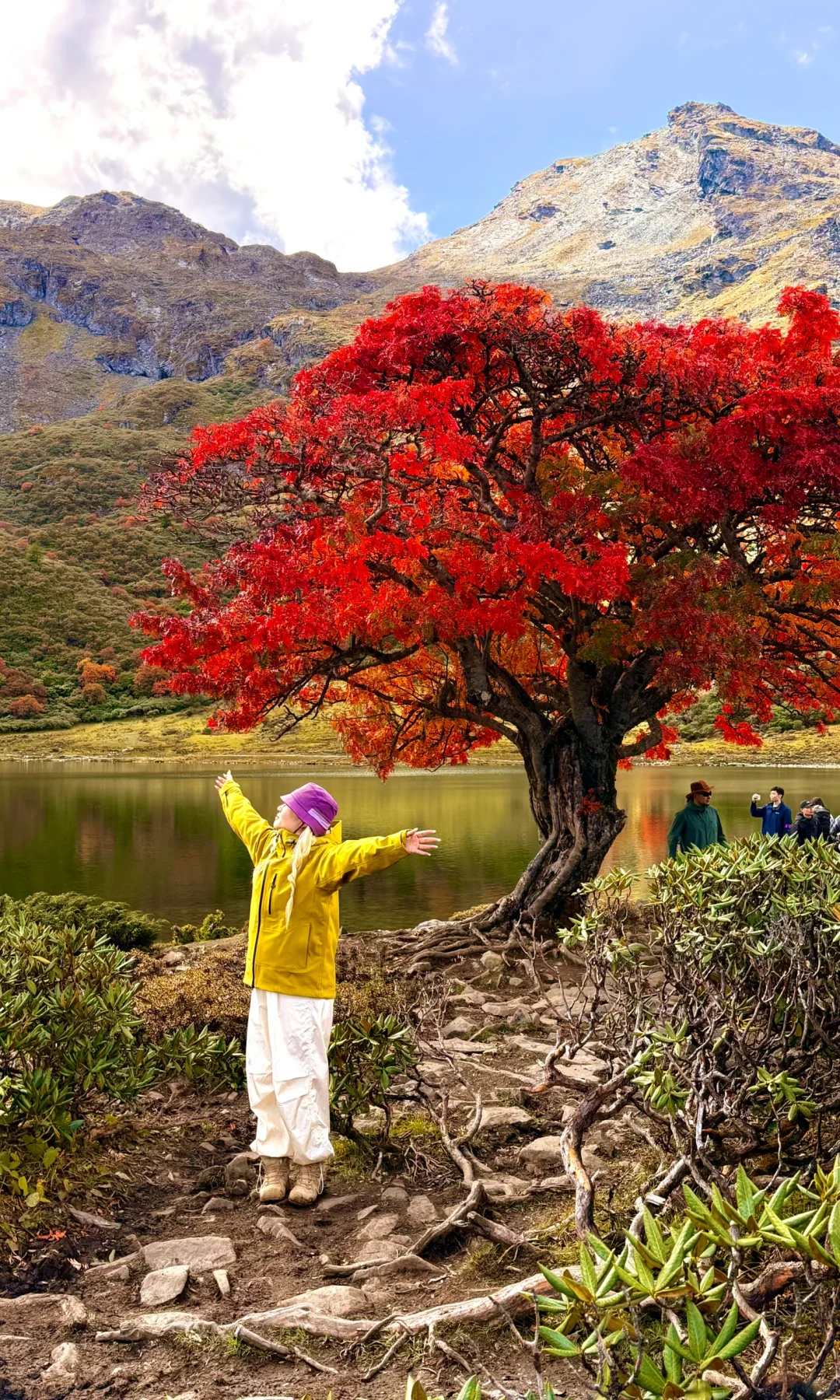 天🦆！！！这是到了天堂吗！！！📍附攻略