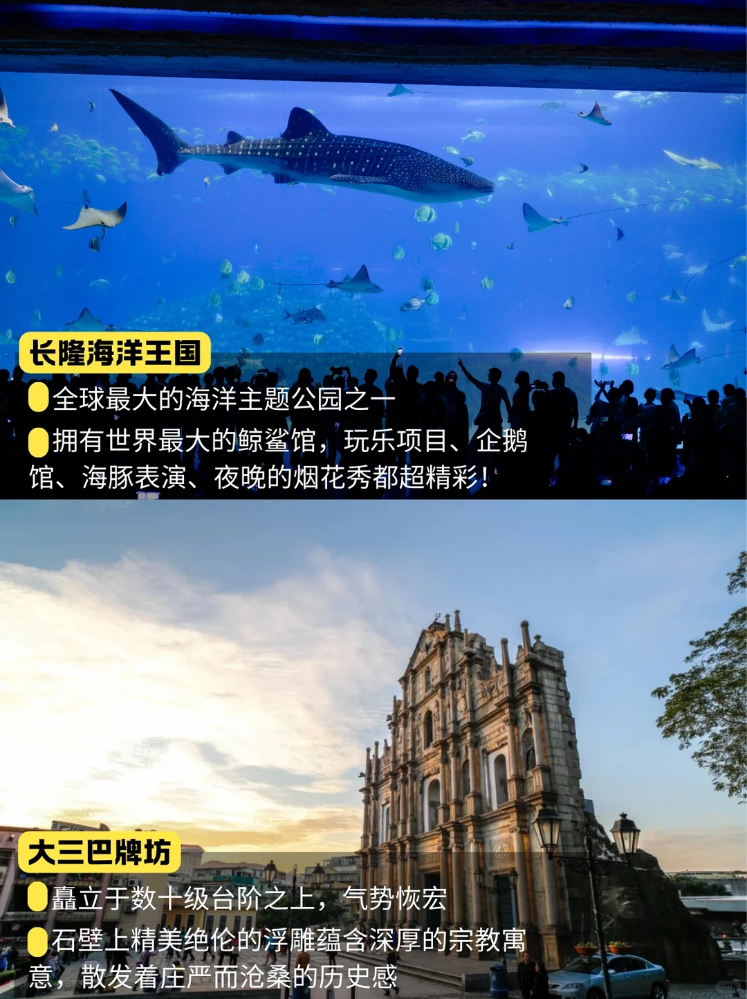 港珠澳地标景点📍第一次去港澳必看！