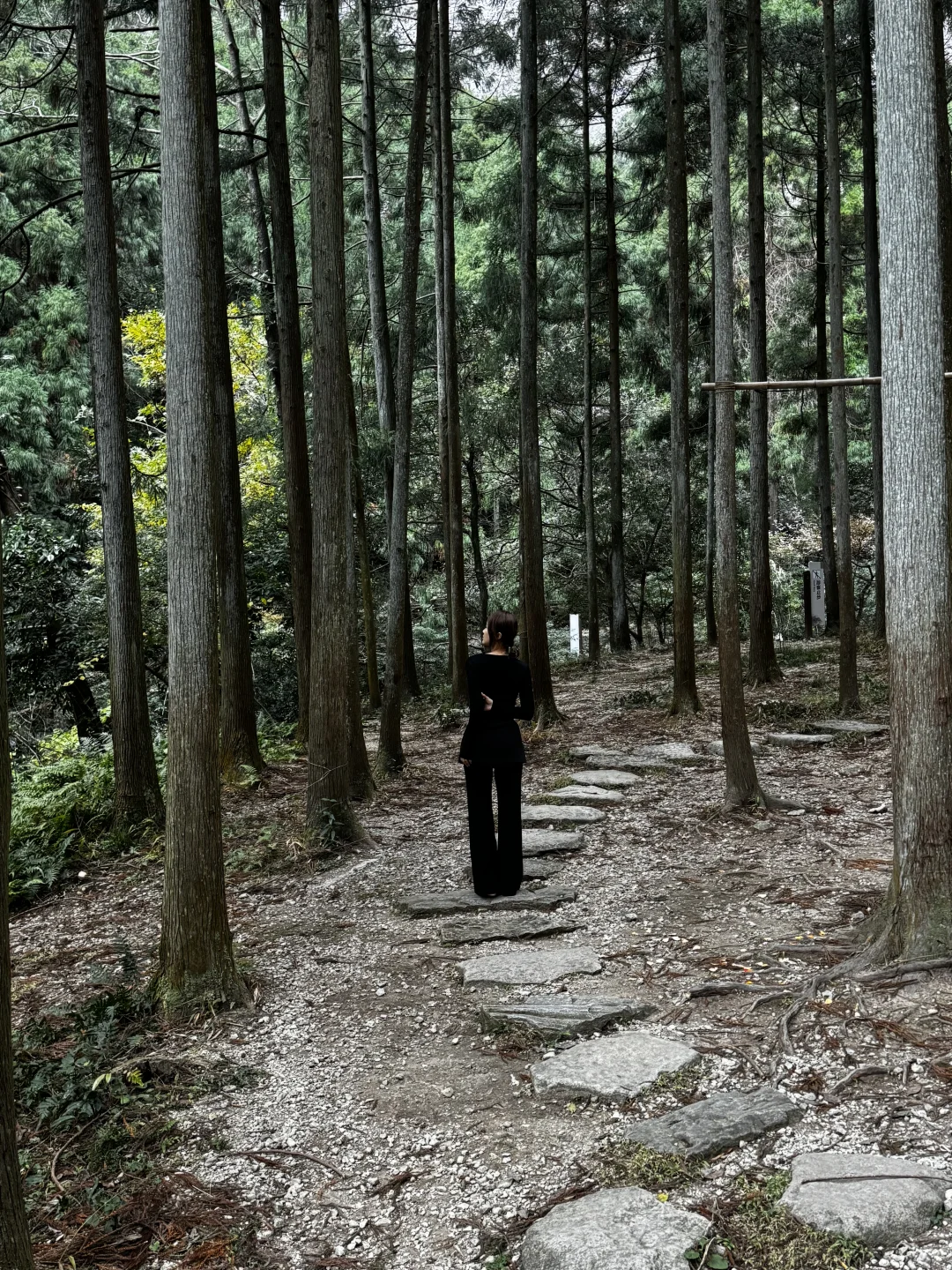 雁荡山摆烂攻略🔥3h躺玩不爬山！