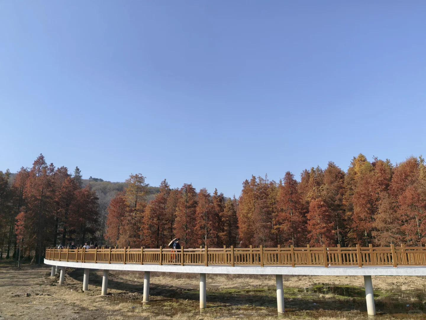 📍深秋止马岭｜南京亲子徒步天花板🍁💕