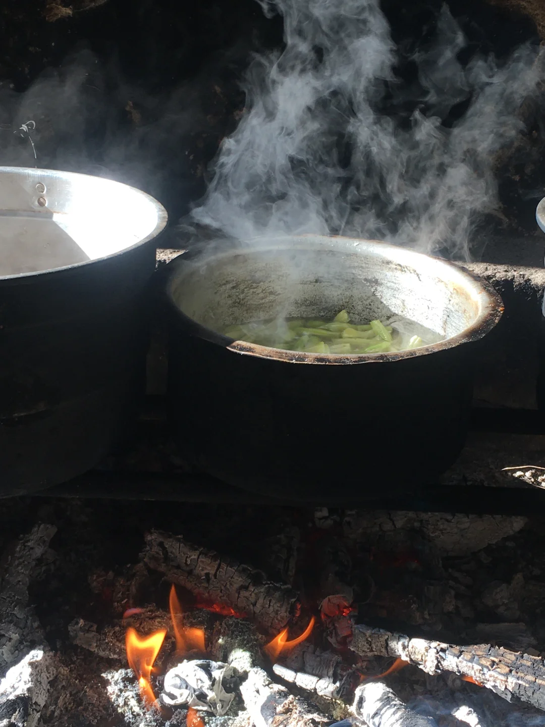 回村的快乐！！！