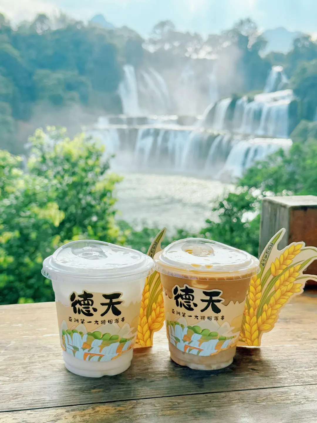 冬天带爸妈去哪？25°C崇左暖冬赢麻了🌿